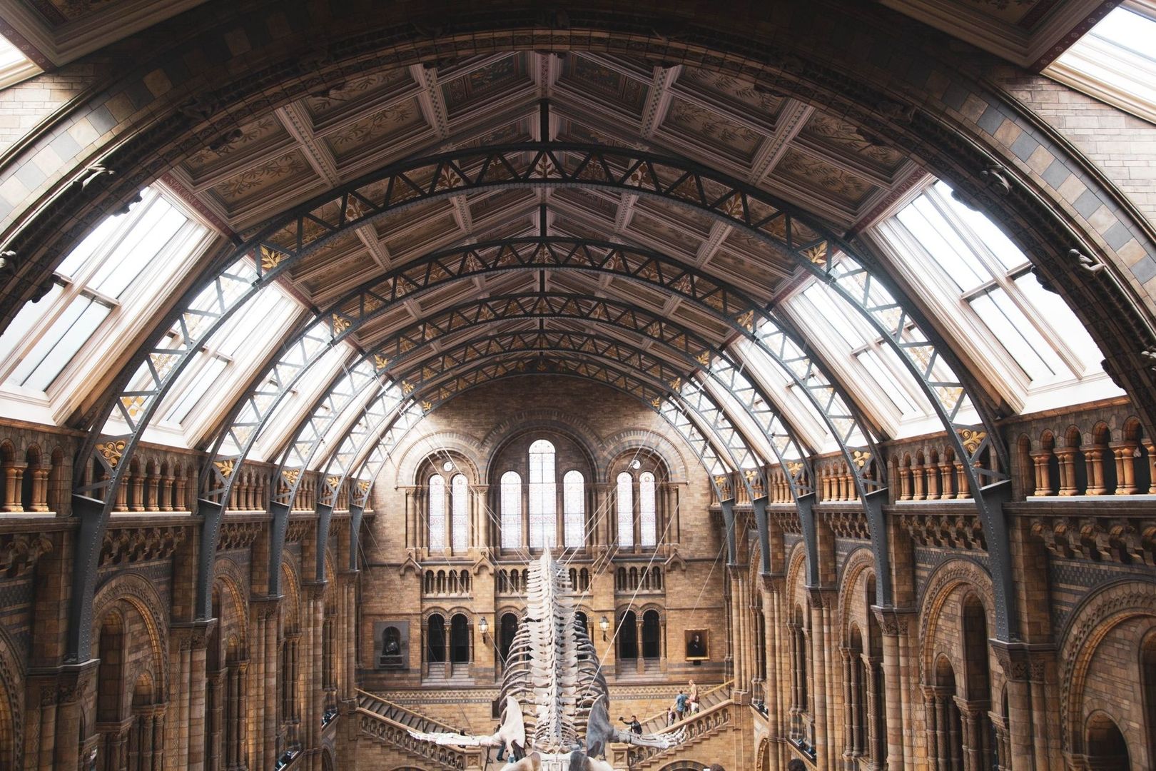 Grande galerie de musée avec squelette suspendu sous une voûte vitrée