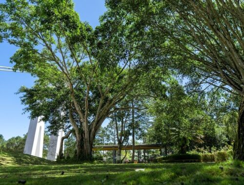 Jardin arboré et pelouses du Jardin du Las sous un ciel bleu