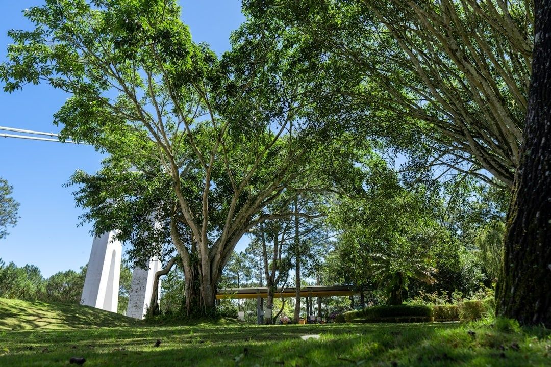 Jardin arboré et pelouses du Jardin du Las sous un ciel bleu